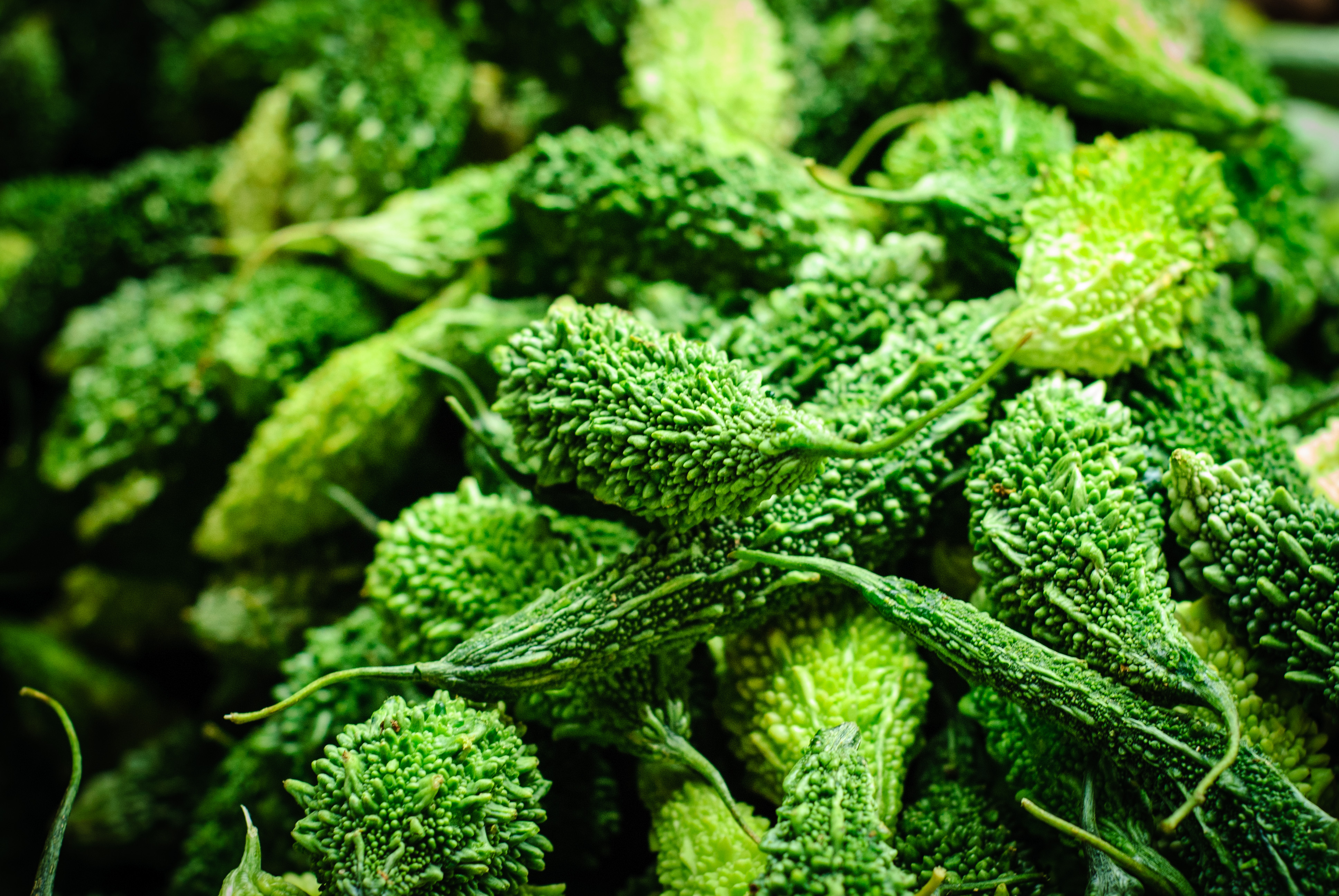 Bitter Gourd (Karela) Seeds