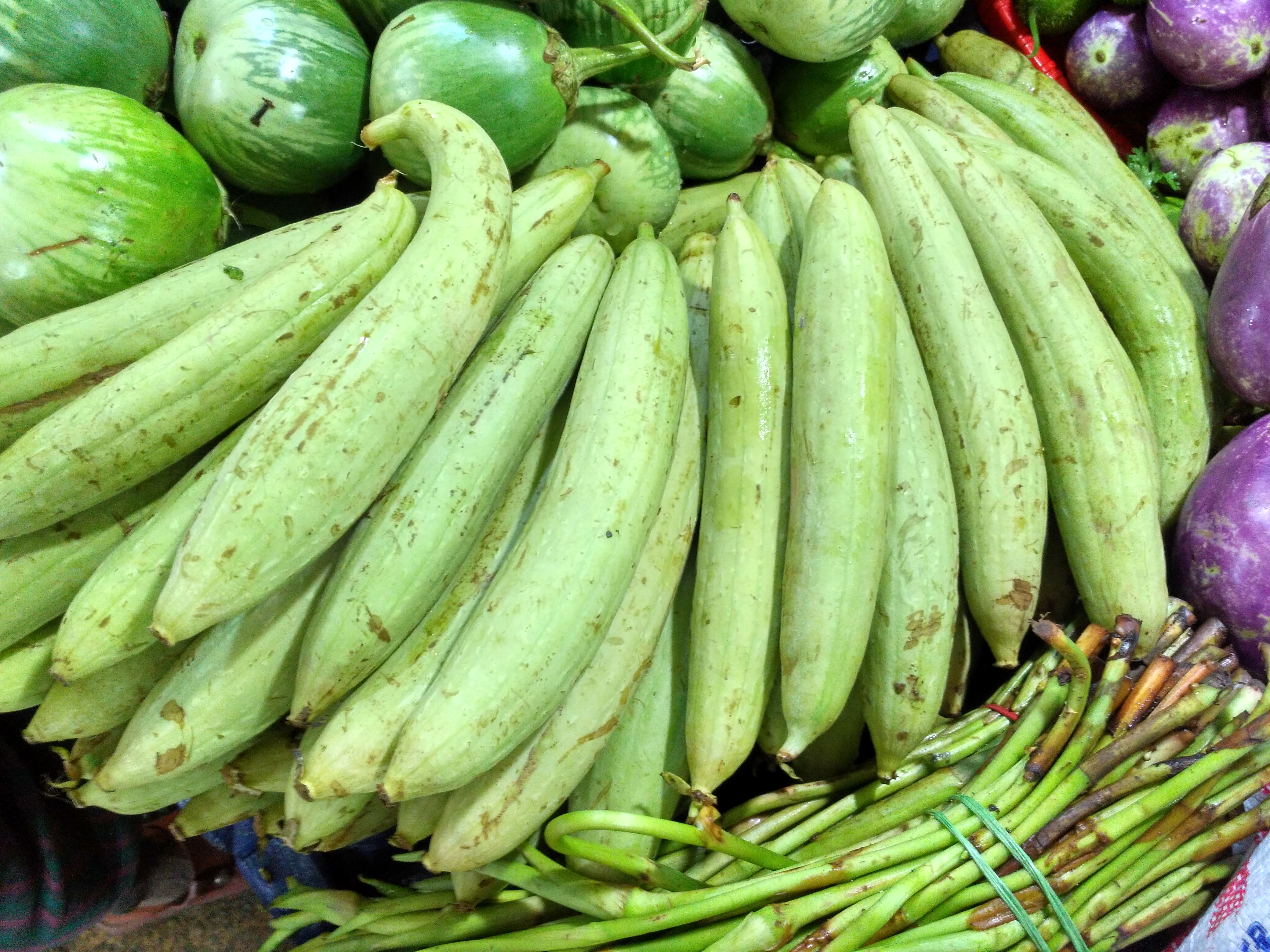 Sponge Gourd Seeds